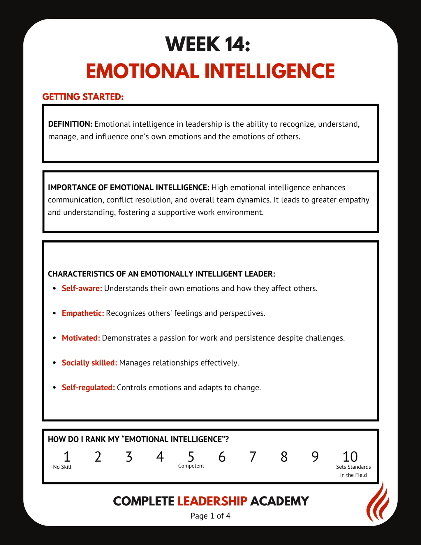 NEW LEADER BUNDLE *New Leader Favorite*